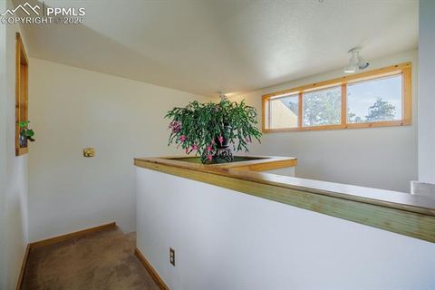 Tiny photo for 240 Crestwood Drive, Woodland Park, CO 80863 (MLS # 1315065)