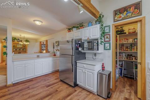 Tiny photo for 240 Crestwood Drive, Woodland Park, CO 80863 (MLS # 1315065)