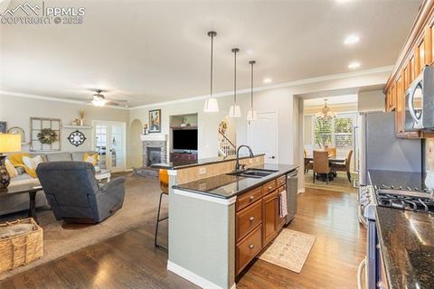 Tiny photo for 458 All Sky Drive, Colorado Springs, CO 80921 (MLS # 1790616)
