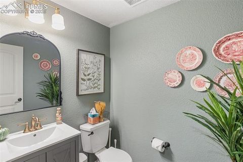 Tiny photo for 458 All Sky Drive, Colorado Springs, CO 80921 (MLS # 1790616)
