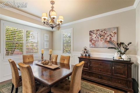 Tiny photo for 458 All Sky Drive, Colorado Springs, CO 80921 (MLS # 1790616)