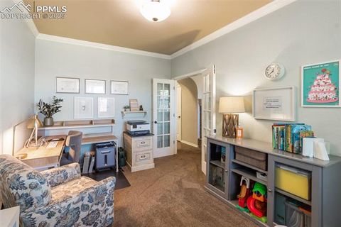 Tiny photo for 458 All Sky Drive, Colorado Springs, CO 80921 (MLS # 1790616)