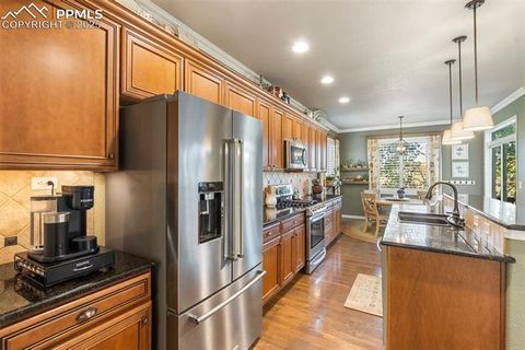 Tiny photo for 458 All Sky Drive, Colorado Springs, CO 80921 (MLS # 1790616)