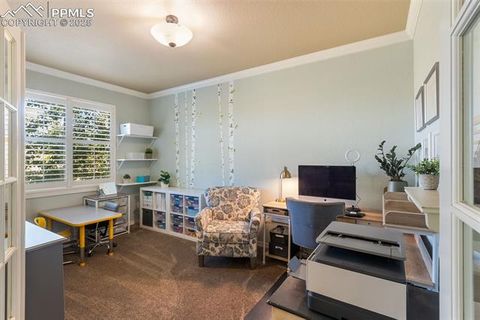 Tiny photo for 458 All Sky Drive, Colorado Springs, CO 80921 (MLS # 1790616)