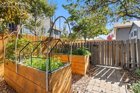 Tiny photo for 458 All Sky Drive, Colorado Springs, CO 80921 (MLS # 1790616)