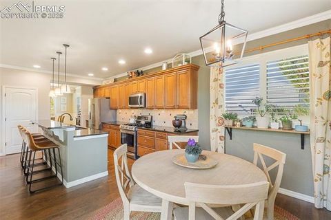 Tiny photo for 458 All Sky Drive, Colorado Springs, CO 80921 (MLS # 1790616)