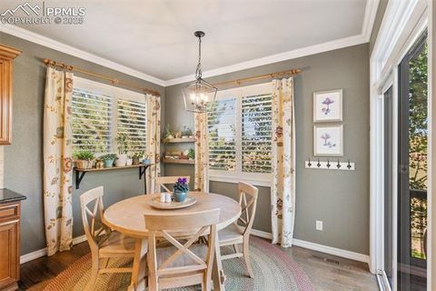Tiny photo for 458 All Sky Drive, Colorado Springs, CO 80921 (MLS # 1790616)