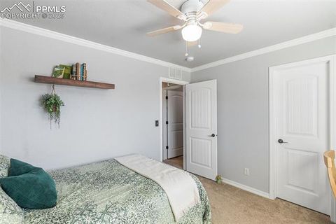 Tiny photo for 458 All Sky Drive, Colorado Springs, CO 80921 (MLS # 1790616)