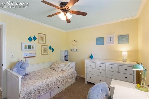 Tiny photo for 458 All Sky Drive, Colorado Springs, CO 80921 (MLS # 1790616)
