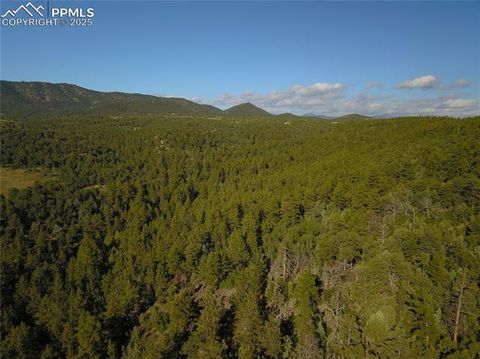 Photo of 19 Old Crow Path, Canon City, CO 81212 (MLS # 9666790)