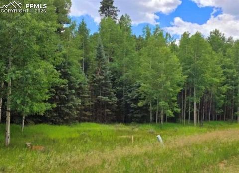 Photo of 662 Spring Valley Lane, Florissant, CO 80816 (MLS # 6382888)