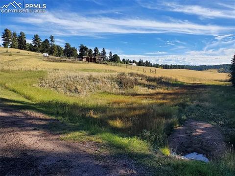 Photo of 309 Pinaceae Heights, Divide, CO 80814 (MLS # 9350746)