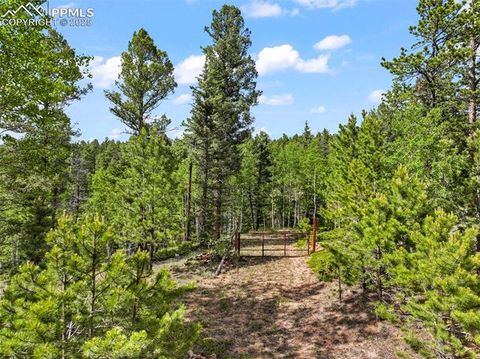 Photo of 65 Spruce Creek Road, Divide, CO 80814 (MLS # 3447638) Photo of 65 Spruce Creek Road, Divide, CO 80814 (MLS # 3447638)