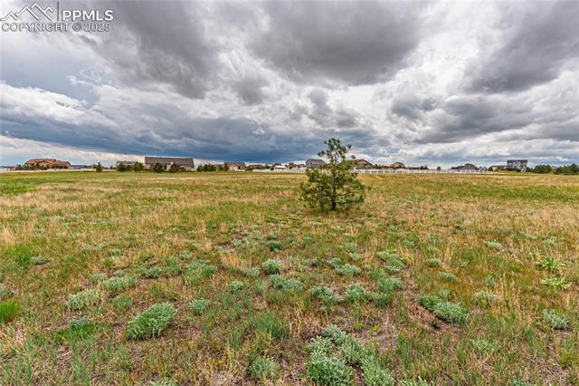 13650 Irish Hunter Trail