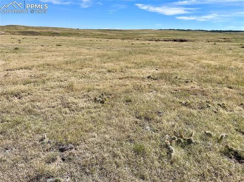 Photo of 3 County Road 77, Calhan, CO 80808 (MLS # 8308733)