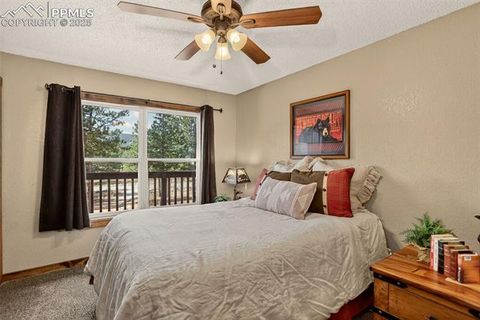 Tiny photo for 50 Road P78, Bailey, CO 80421 (MLS # 3486521)