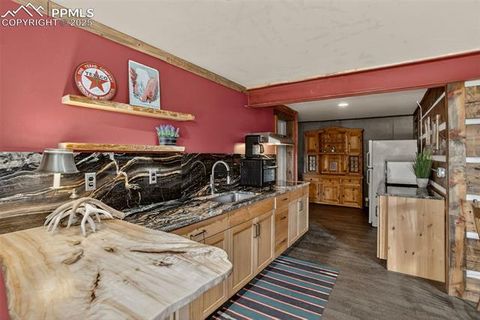 Tiny photo for 50 Road P78, Bailey, CO 80421 (MLS # 3486521)