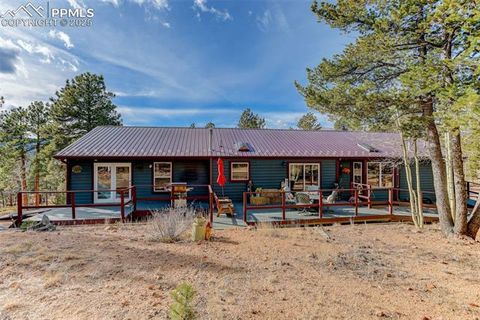 Tiny photo for 50 Road P78, Bailey, CO 80421 (MLS # 3486521)