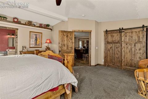 Tiny photo for 50 Road P78, Bailey, CO 80421 (MLS # 3486521)
