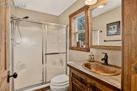 Tiny photo for 50 Road P78, Bailey, CO 80421 (MLS # 3486521)