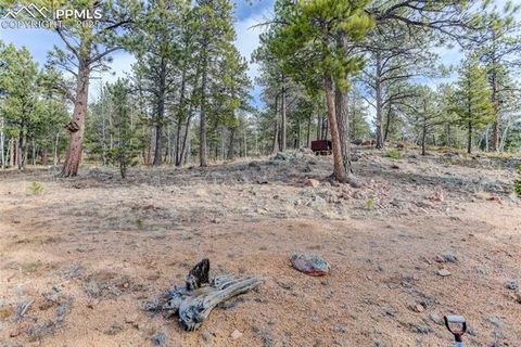 Tiny photo for 50 Road P78, Bailey, CO 80421 (MLS # 3486521)