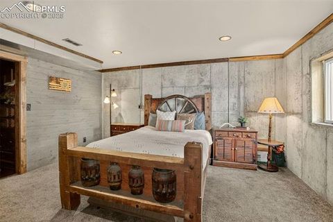 Tiny photo for 50 Road P78, Bailey, CO 80421 (MLS # 3486521)