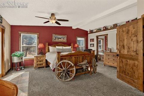 Tiny photo for 50 Road P78, Bailey, CO 80421 (MLS # 3486521)