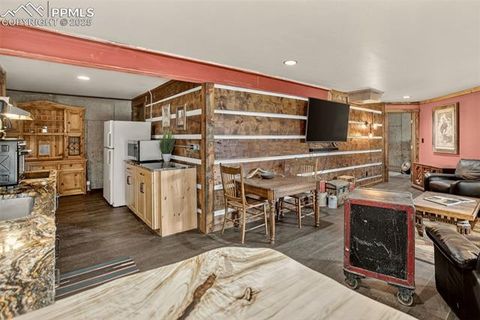 Tiny photo for 50 Road P78, Bailey, CO 80421 (MLS # 3486521)