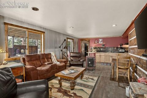 Tiny photo for 50 Road P78, Bailey, CO 80421 (MLS # 3486521)