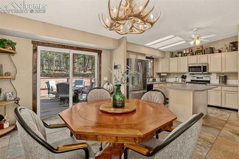 Tiny photo for 50 Road P78, Bailey, CO 80421 (MLS # 3486521)