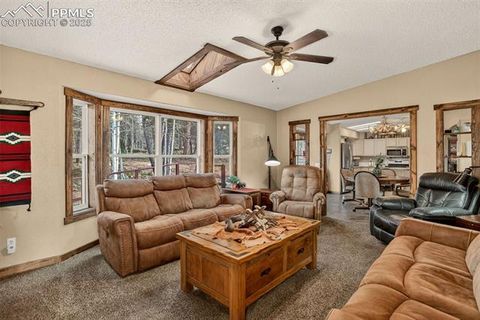 Tiny photo for 50 Road P78, Bailey, CO 80421 (MLS # 3486521)