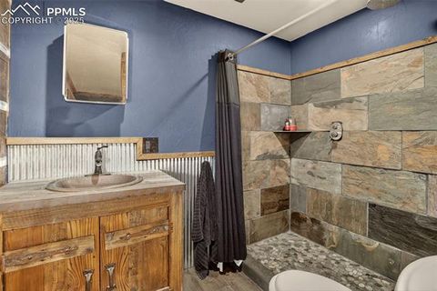 Tiny photo for 50 Road P78, Bailey, CO 80421 (MLS # 3486521)