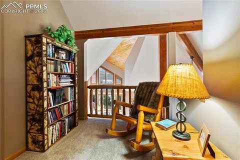 Tiny photo for 591 Skyline Drive, Woodland Park, CO 80863 (MLS # 3608253)