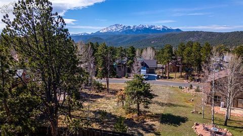 Photo of 620 Skyline Drive, Woodland Park, CO 80863 (MLS # 2708208)