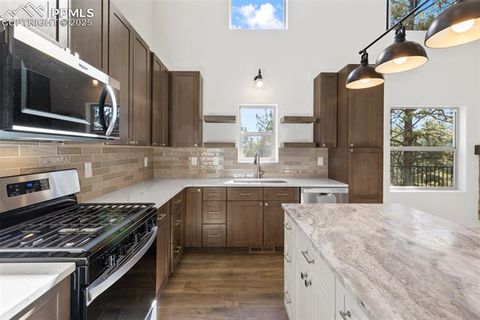 Tiny photo for 240 N Mountain Estates Road, Florissant, CO 80816 (MLS # 2707848)