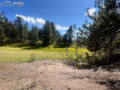 Tiny photo for 240 N Mountain Estates Road, Florissant, CO 80816 (MLS # 2707848)