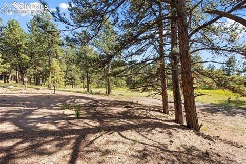 Tiny photo for 240 N Mountain Estates Road, Florissant, CO 80816 (MLS # 2707848)