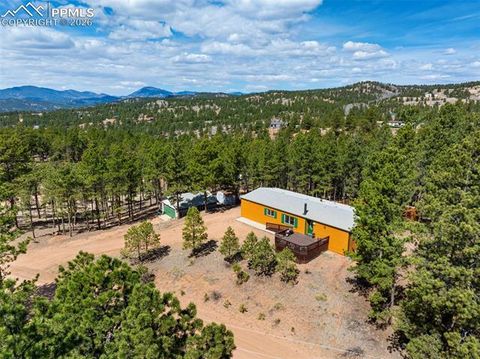 Tiny photo for 1299 Pikes Peak Drive, Florissant, CO 80816 (MLS # 9528618)