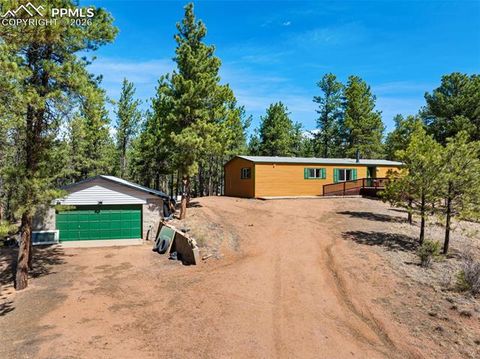 Photo of 1299 Pikes Peak Drive, Florissant, CO 80816 (MLS # 9528618)