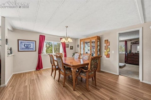 Tiny photo for 1299 Pikes Peak Drive, Florissant, CO 80816 (MLS # 9528618)