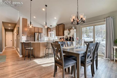 Tiny photo for 24 Big Horn Circle, Florissant, CO 80816 (MLS # 4124452)