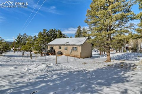 Tiny photo for 24 Big Horn Circle, Florissant, CO 80816 (MLS # 4124452)