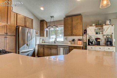 Tiny photo for 24 Big Horn Circle, Florissant, CO 80816 (MLS # 4124452)