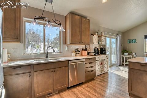 Tiny photo for 24 Big Horn Circle, Florissant, CO 80816 (MLS # 4124452)