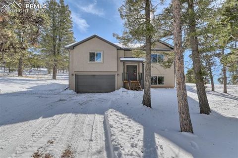 Tiny photo for 24 Big Horn Circle, Florissant, CO 80816 (MLS # 4124452)