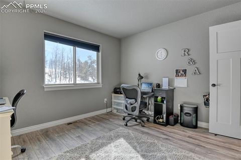Tiny photo for 24 Big Horn Circle, Florissant, CO 80816 (MLS # 4124452)