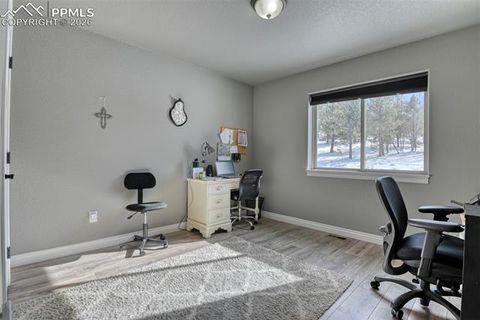 Tiny photo for 24 Big Horn Circle, Florissant, CO 80816 (MLS # 4124452)