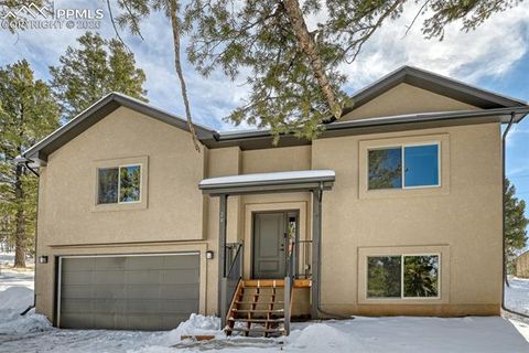 Tiny photo for 24 Big Horn Circle, Florissant, CO 80816 (MLS # 4124452)