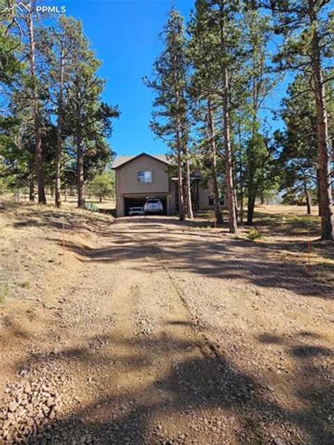 Tiny photo for 24 Big Horn Circle, Florissant, CO 80816 (MLS # 4124452)