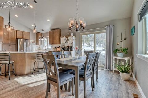 Tiny photo for 24 Big Horn Circle, Florissant, CO 80816 (MLS # 4124452)